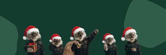 We say THANK YOU to over 12,000 ZeroMOUSE customers