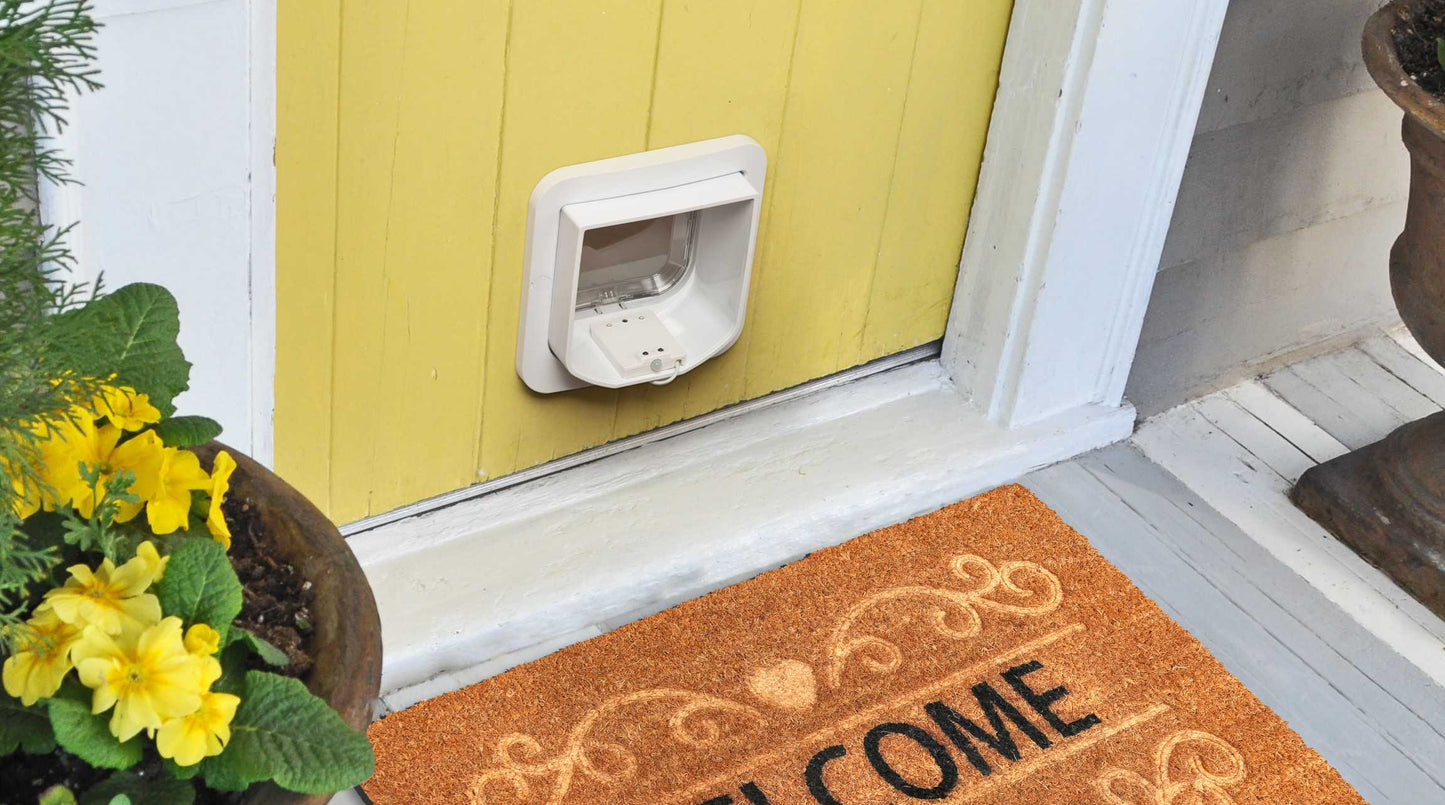 Cat Flap Upgrade