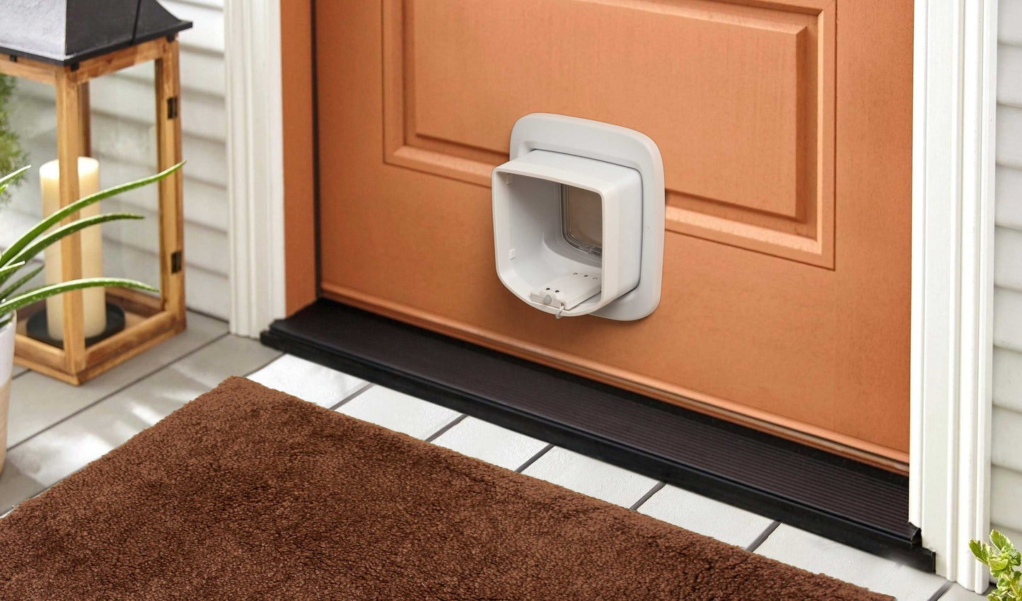 Cat Flap Upgrade